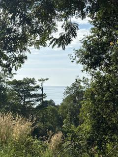 Little Bailan Retreat - Jungle & river view - 8