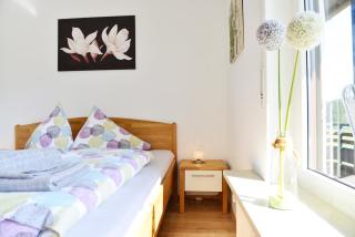 Haus Alp-Oase 1-Raum-Wohnung Herzstück - 4