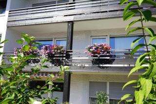 Haus Ideal 2-Raum-Wohnung Rosenrot - 1