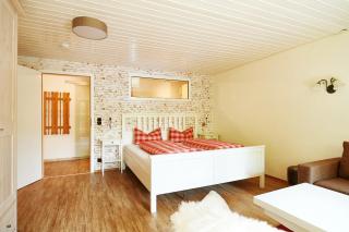 Das kleine Landhaus 1-Raum-Apartment Rex - 9