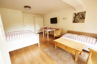 Das kleine Landhaus 1-Raum-Apartment Lassie - 9