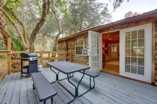 Fish, Boat & Explore: Cross Creek Cabin w/ Dock! - 9