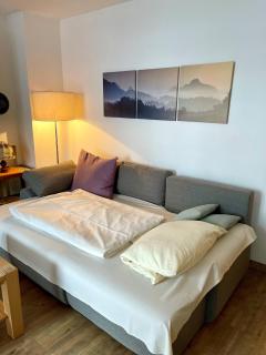 Haus Bergidyll 2-Raum-Wohnung Bergwelten - 5