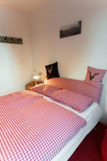 Haus Bergidyll 2-Raum-Wohnung Hüttenzauber - 3