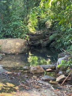 Little Bailan Retreat - Jungle Escape - 6