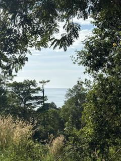 Little Bailan Retreat - Jungle Escape - 5