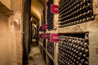 Wine Garden Hotel Comrat - 1