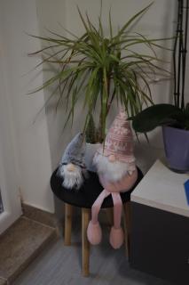 SWEET STUDIO Apartment - 3