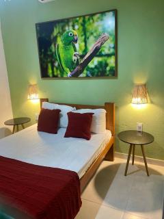 Amazônia 2 - stunning river side retreat with private pool and deck over the river - 3