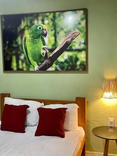 Amazônia 2 - stunning river side retreat with private pool and deck over the river - 4