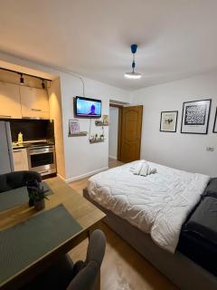 Krid Tirana Studio Flat - 5