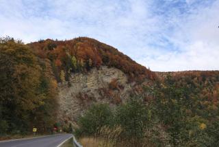 Садиба ,,Над потічком,, - Rostoki - 6