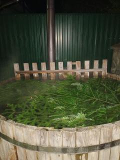 Садиба ,,Над потічком,, - Rostoki - 3