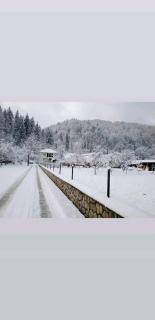 Садиба ,,Над потічком,, - Rostoki - 1