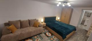 Casa de vacanta Niculitel - 5