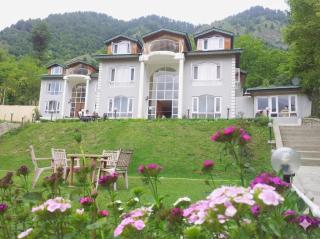 Forest Hill Resorts - 4