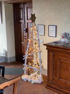 Agriturismo La Fenice - 6