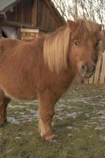 Agroturystyka Natura - 1