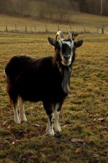 Agroturystyka Natura - 2