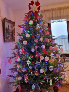 Agroturystyka Natura - 3