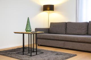 Central Premium Renovated Apartment with River View - 0