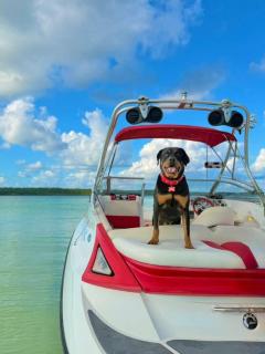 Hotel Alux x Over Blue - 9