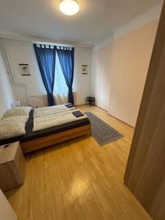 Premium Apartment near Park - 4