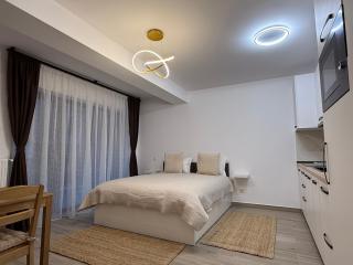 The View Studio 2 Busteni - 5