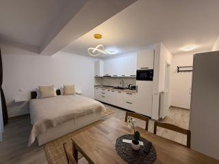 The View Studio 2 Busteni - 4