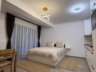 The View Studio 2 Busteni - 1