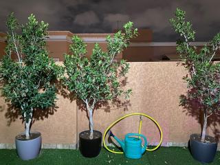 F2 Luxury & Light - 8