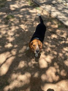 Sunset Oaks Retreat Events, Farm Animals & Views - 5