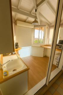 Tropical Paradise - 7