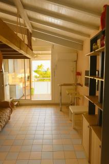 Tropical Paradise - 5