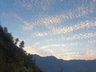 Himalayan farm stay - 1