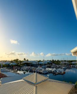 Tropical Paradise - 2