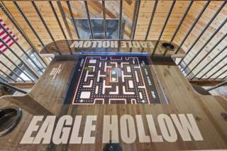 Eagle Hollow Hot Tub-Arcade-Foosball-Fire Pit - 8