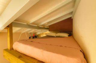 Tropical Paradise - 1