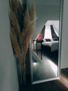 Marigold Premium - 6