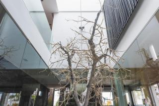 Chalet de diseño con piscina privada - 3