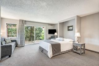 Downtown Corner Studio with 270-degree Riverview - 0