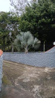 Chácara Aconchego na Natureza - 6