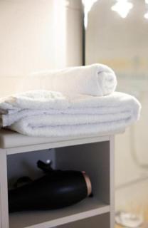 Premium Apartment with Shared Balcony & Free Parking - 5