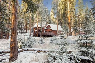 Nana & Papas-Family Friendly in East Village - 4