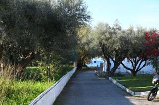 Spiti Ostria 9 Seaside Maisonette - 3