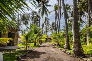 Rancho San Jose - Barra De Santiago - 6