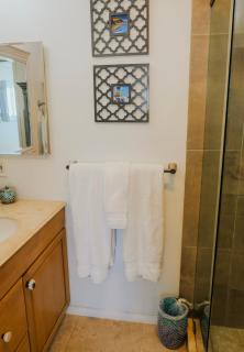 2 Bdr 2 bath luxury home steps away from Mission Beach 5 min from Belmont - 3