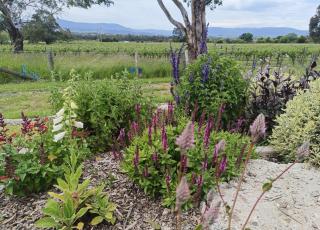 Grandvista Cottage - 3