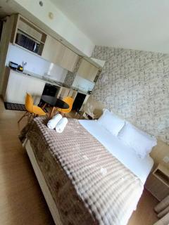 Studio Setor Marista - 0