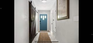 The PanAm fire pit bbq kid & dog friendly - 6